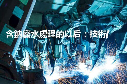 含鈉廢水處理的以后：技術(shù)革新與環(huán)保挑戰(zhàn)！